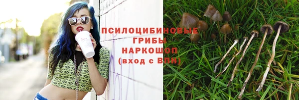 а пвп мука Пролетарск