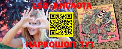 прущие грибы Абакан