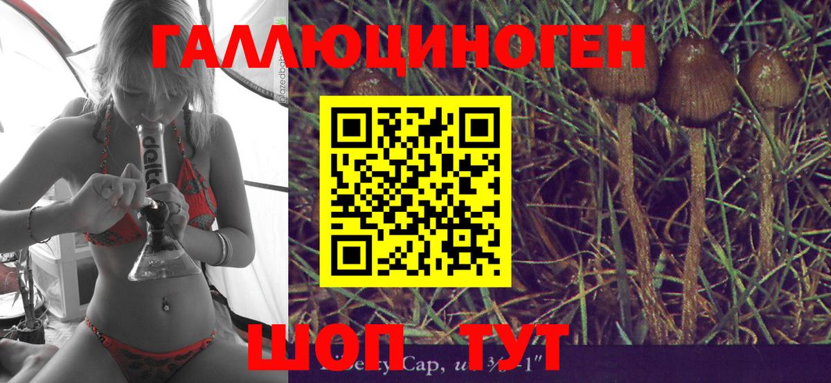 Галлюциногенные грибы Cubensis  Псилоцибиновые грибы мухоморы  Йошкар-Ола 