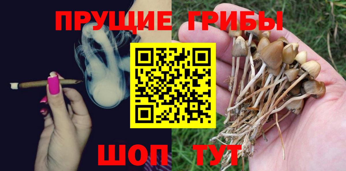 Йошкар-Ола  Псилоцибиновые грибы Magic Shrooms  где купить наркоту  Вход с VPN 