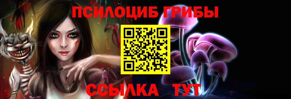 Псилоцибиновые грибы прущие грибы Йошкар-Ола
