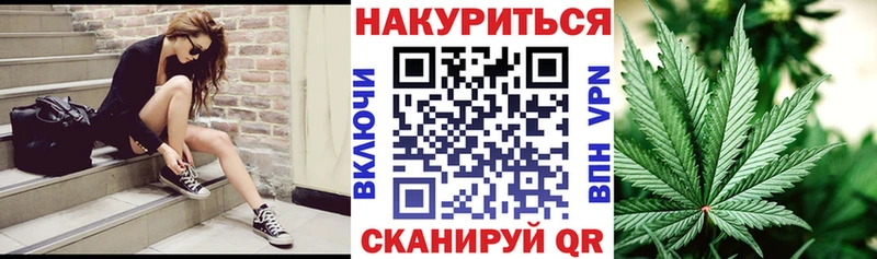Канабис сатива Йошкар-Ола